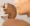 natucci estetica