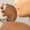 natucci estetica